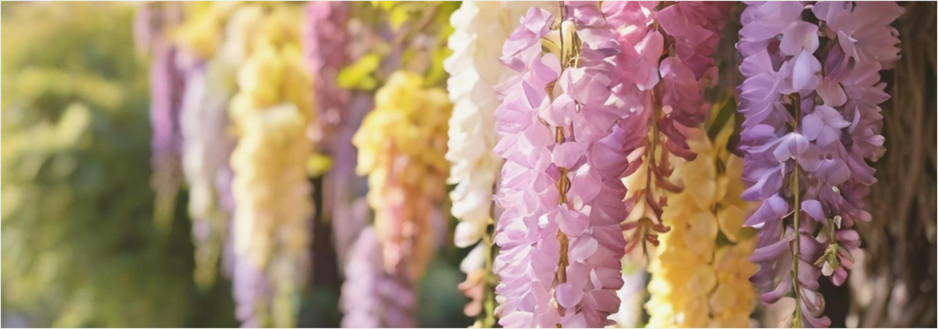 The Magic of Spring: A Season of Growth, Memories, and Matching Moments