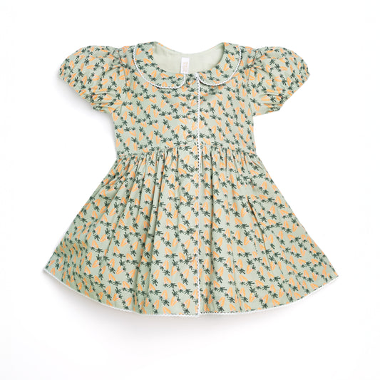 Darling Button Down Cotton Dress | Green and Orange Carrots