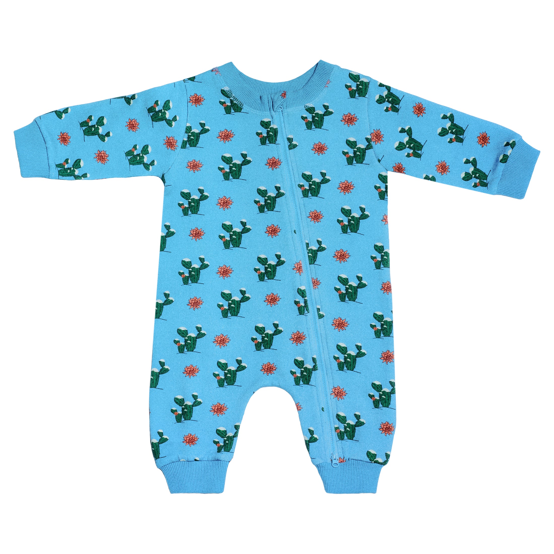 Sweet Pea Zippy | Snow Cactus